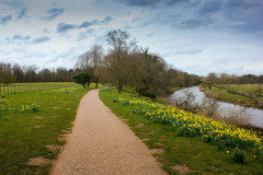 walk-in-attingham-park-grounds
