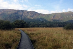 Walk-around-Derwentwater-Lake-from-High-Brandelhow-to-Ashness-gate