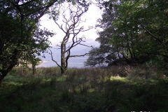 Walk-around-the-Derwentwater-lake-Keswick-Lake-District