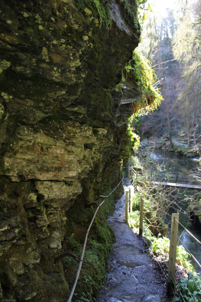 1_paths-amongst-the-gorge-at-lydford-gorge-2