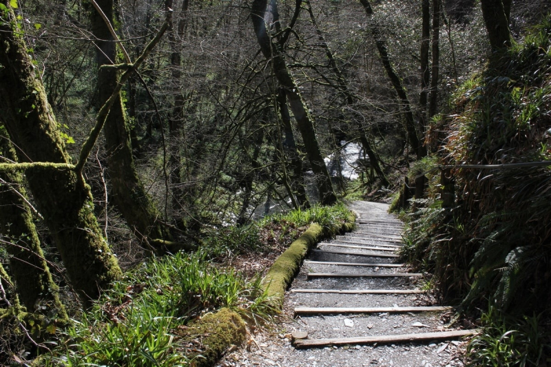 walk-at-lydford-gorge-with-steps