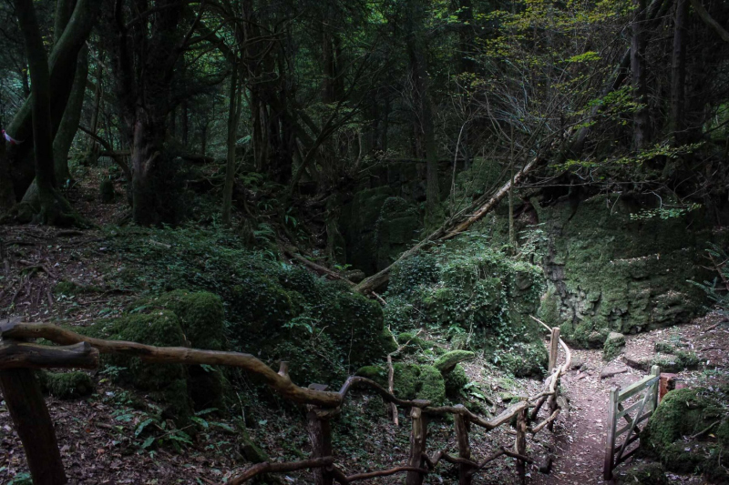 Puzzlewood-sloping-path