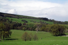 Chirk-Castle-Parklands-Wales