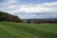 View-across-the-Chirk-Castle-Farmlands-over-the-planned-Ha-Ha-Wales