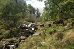 Picnic-spot-near-Pistyll-Rhaeadr-Waterfall-Wales