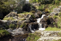 Picture-of-streams-feeding-in-to-Pistyll-Rhaeadr-waterfall-Wales