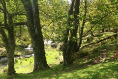 top-of-pistyll-rhaeadr-waterfall