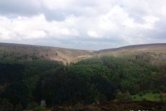 Moorland-at-Worlds-End-Denbighshire-Wales